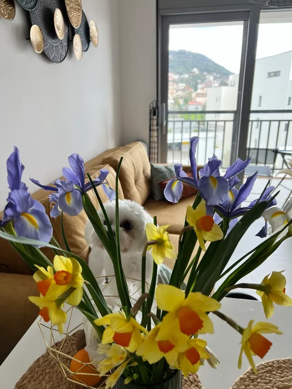 Романтические рассветы и заказы с видом на море и порто монтенегро