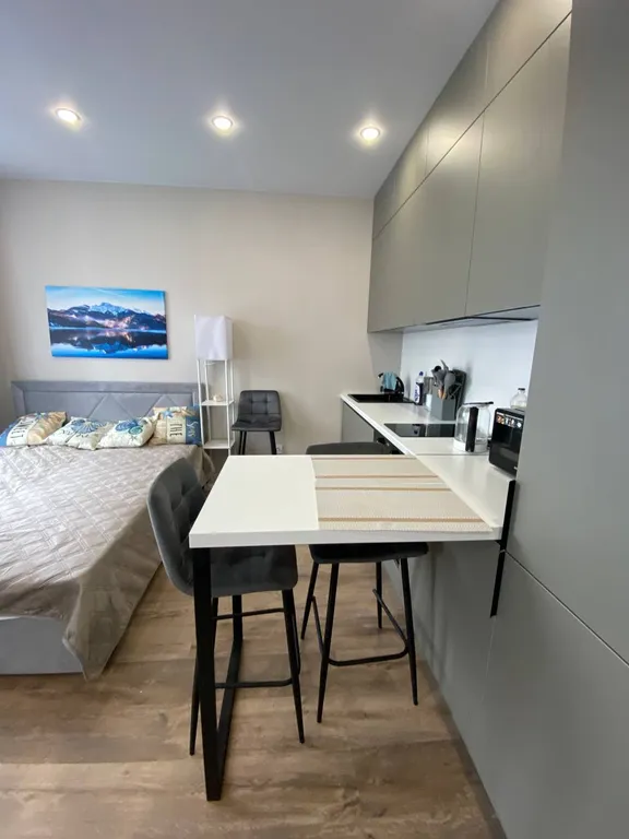 Дизайнерская просторная студия в Сочи