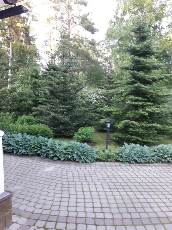 Загородный дом со своим садом