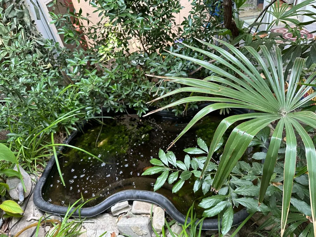 Квартира Квартира Номер эконом с кондиционером — Геленджик