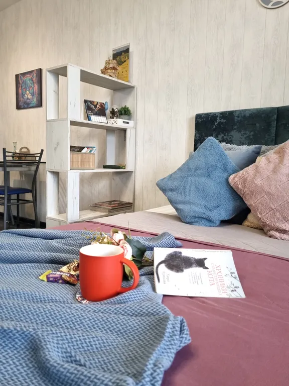 Рыжий Кот на Горке (2-х комнатная квартира в центре)