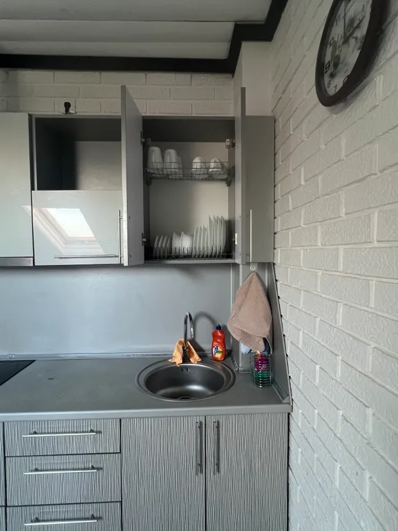 Квартира (мансарда) с кроватью от 3-ех суток