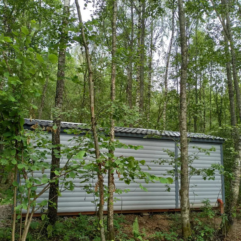 Коттедж Дом у леса — Можайск