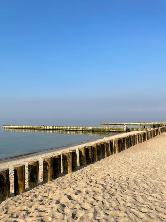 Квартира Тихая квартира в центре — Светлогорск