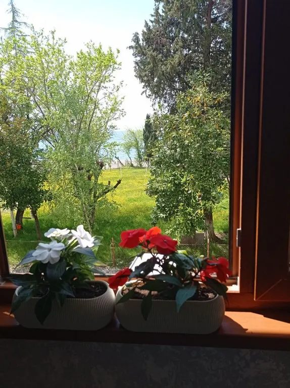 Уютная квартира с видом на море — аренда посуточно в Сухум