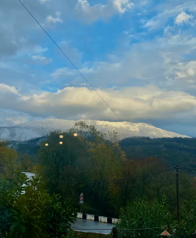 Коттедж Кедровый домик — Казачий Брод