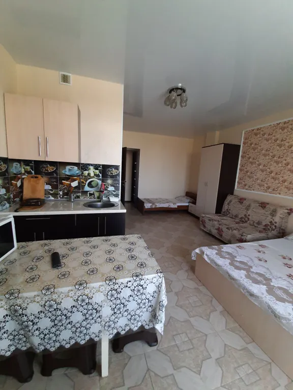 Студия со своей мини кухней