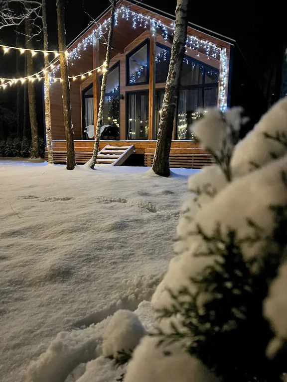 Коттедж Домик в лесу с камином и баней — аренда посуточно в Домодедово