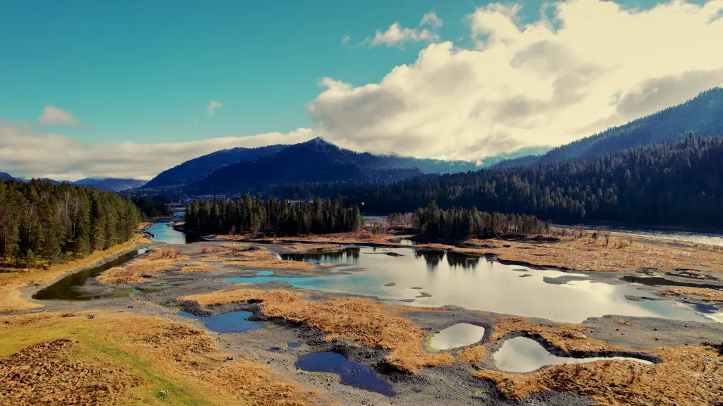 Отдых Телецкое