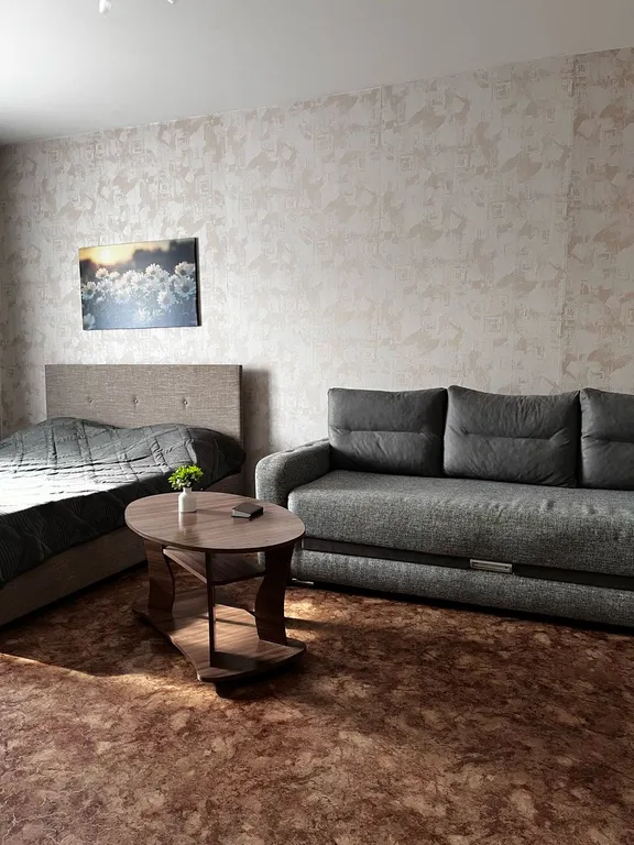 Квартира Уютная квартира центральный район, Советский, Покровский, кардиоцентр — Красноярск