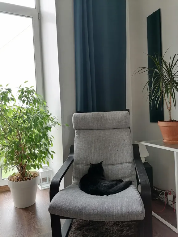 Квартира Квартира Дом у фонтана — Санкт-Петербург