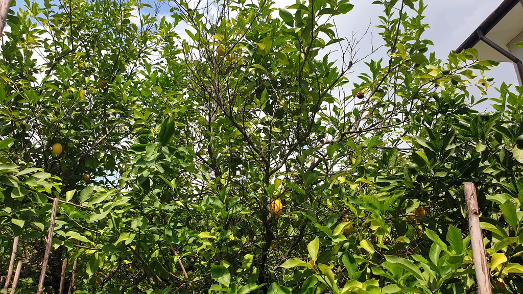 Дом для отдыха