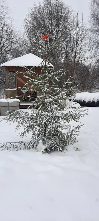 Новый деревянный дом в живописном месте