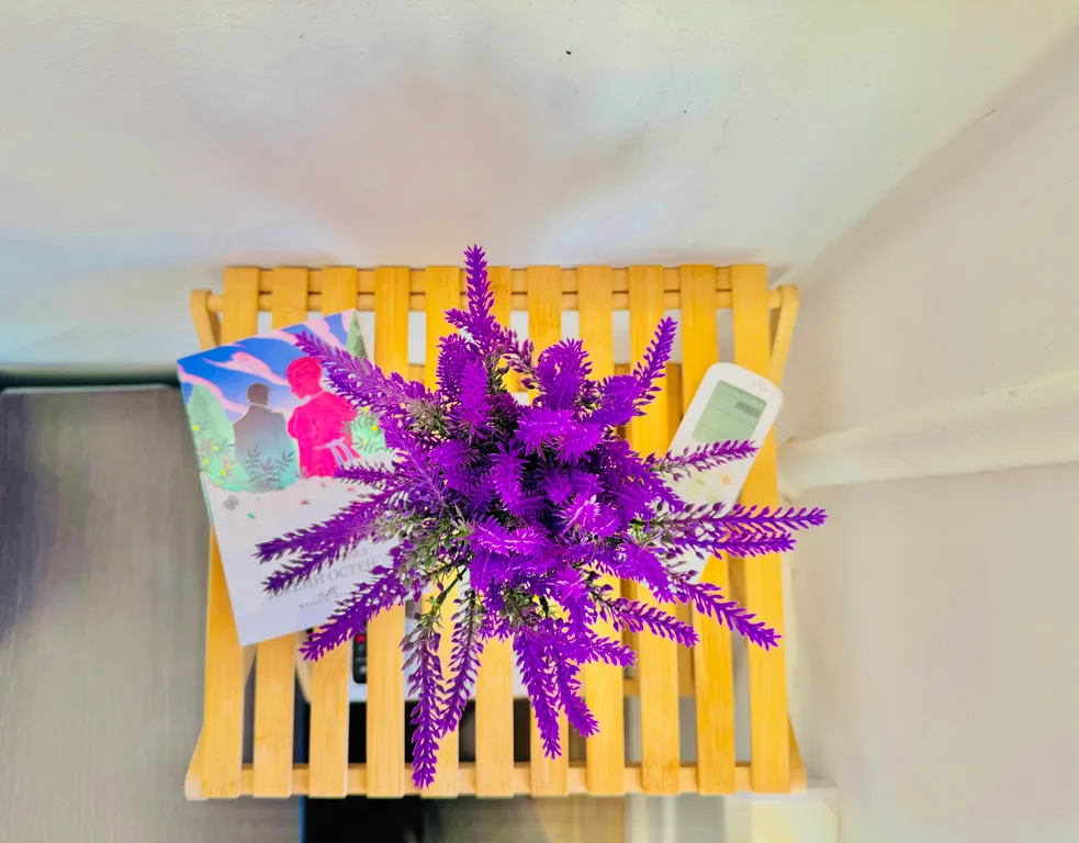 Студия с кондиционером с видом на Спасо-Яковлевский монастырь