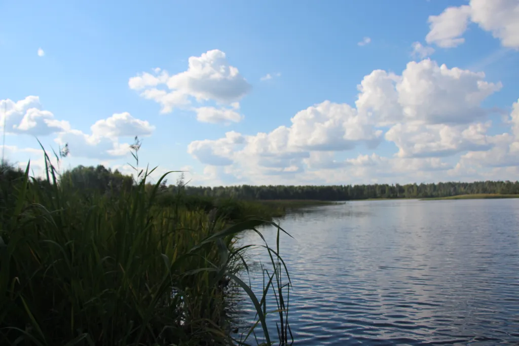 Хижина в лесу на берегу озера без соседей