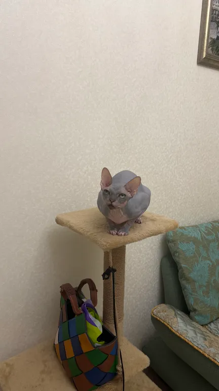 Квартира 2-комнатная Квартира — Каспийск