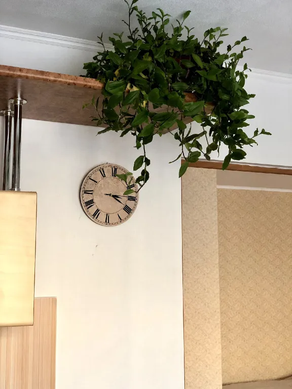 Апартамент фьюжн