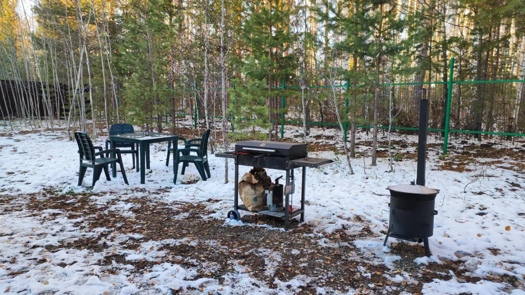 Глэмпинг в сосновом лесу