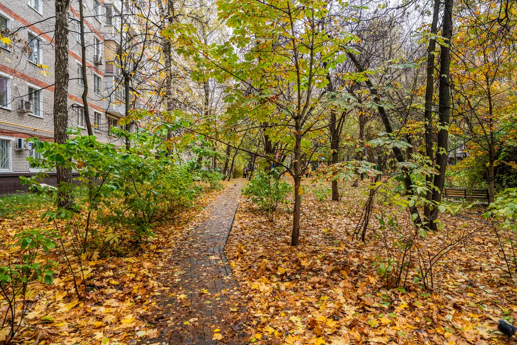 Квартира 2-комнатная Квартира — Москва