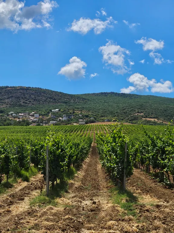 Коттедж Дом для отдыха Mеdley с домашним кинотеатром, террасой и джакузи — Гончарное