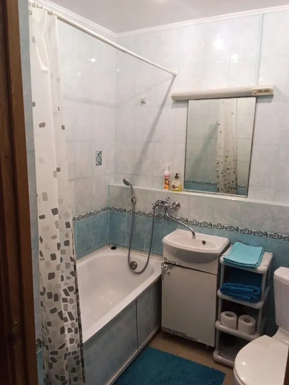 Квартира в центре Автозаводского района