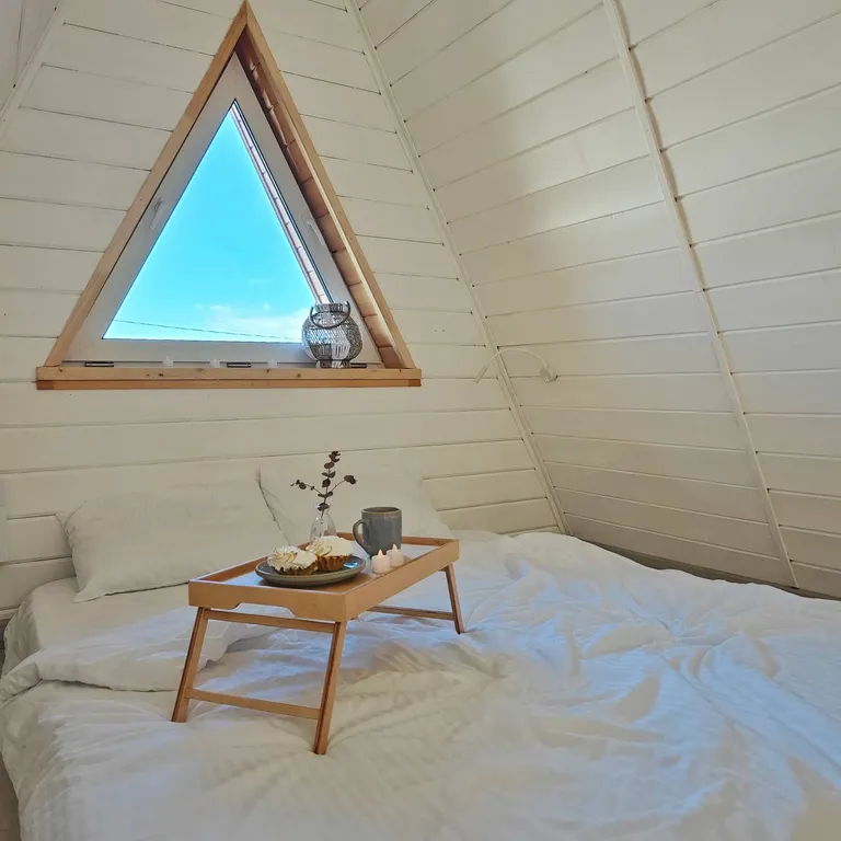 Стильный треугольный дом с видом на лес