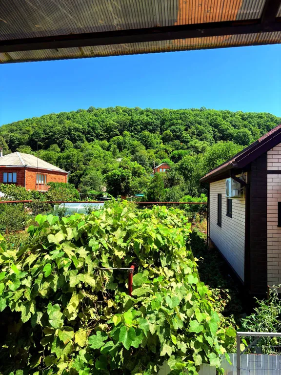 Гостевой дом Бабы Леси