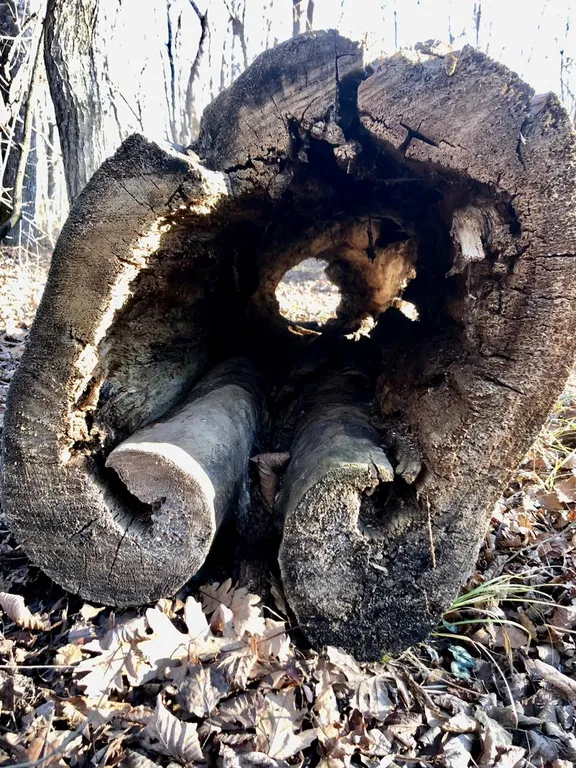 Дом у горной реки