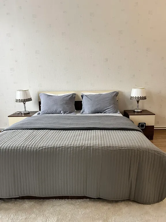 Просторная квартира в центре