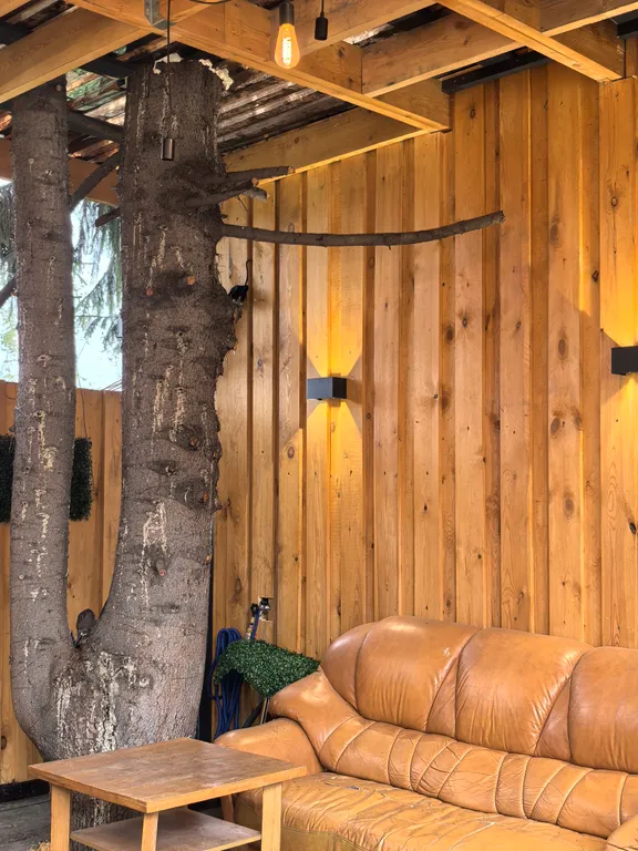 Дом Малевич