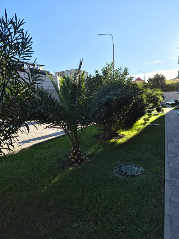 Квартира комфорт-класса в центральном районе Сочи