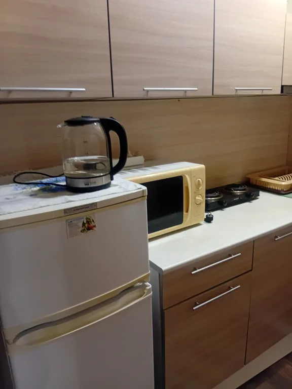 Квартира 1-комнатная Квартира — Янино-1