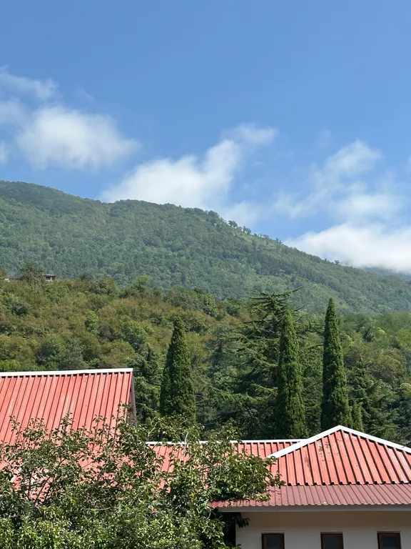 Квартира Квартира Новая уютная студия в центре у моря — Гагра