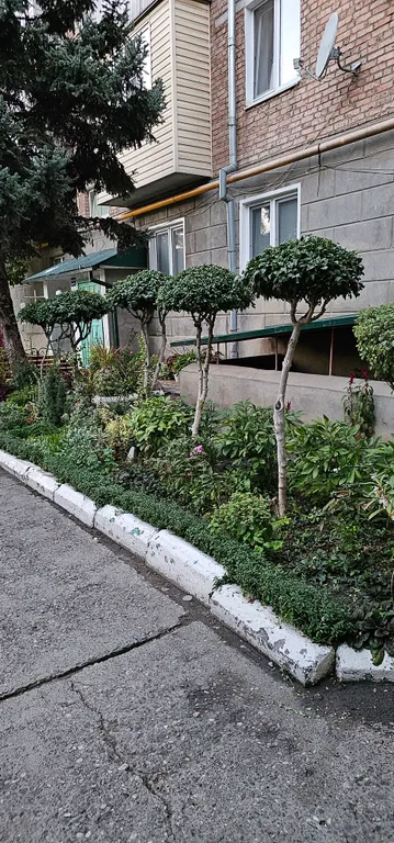 Шикарная трешка