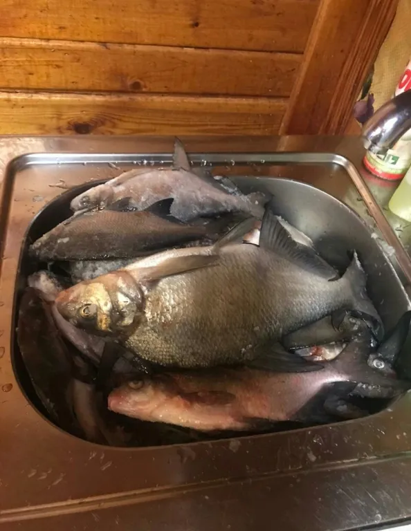 Коттедж Дом с тремя спальнями в турбазе чайка (селигер) — Турбаза Чайка