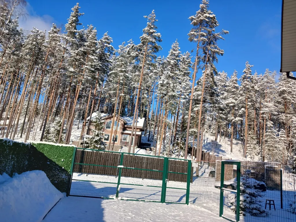 Уютный новый дом в сосновом лесу на берегу Финского залива