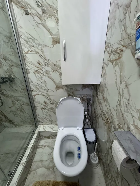 Студия гостиничного типа