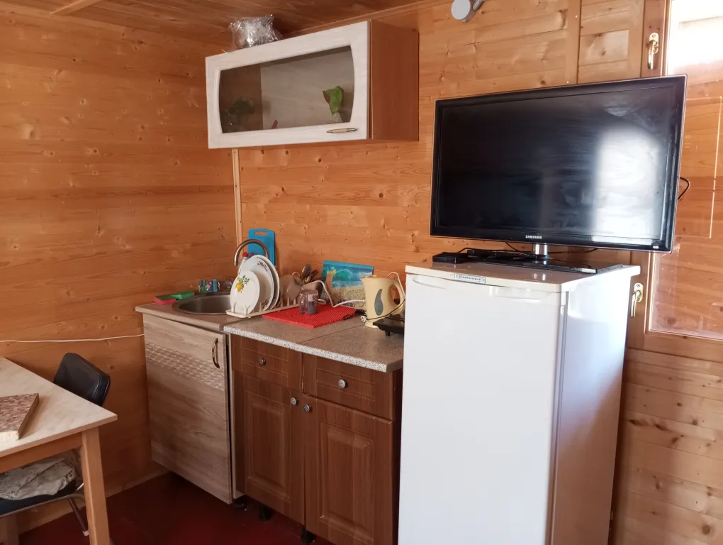 Домики у леса