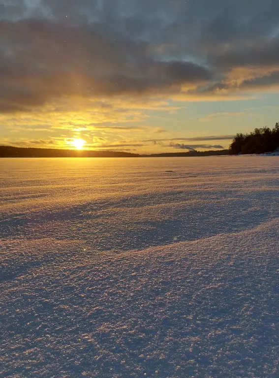 ДомРеки Новый современный дом у реки