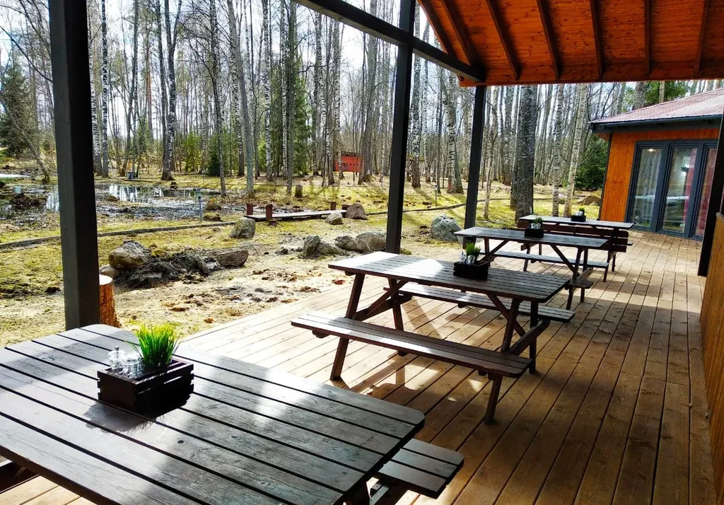 Дом с видом на лес