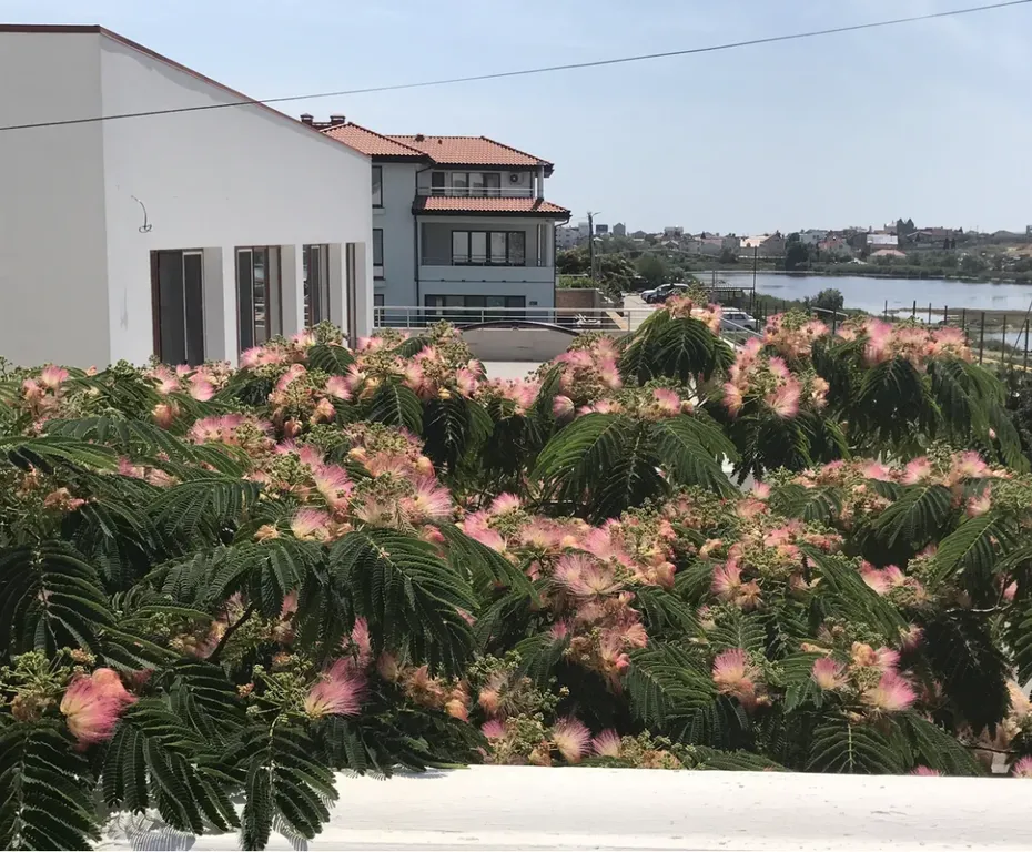 Квартира с видом на море