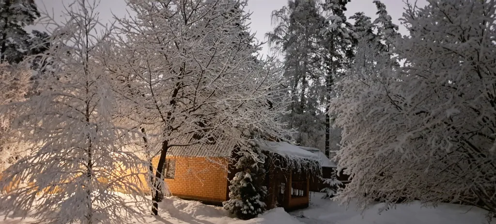 Коттедж Гостевой дом и баня для семейного отдыха — аренда посуточно в Раменское