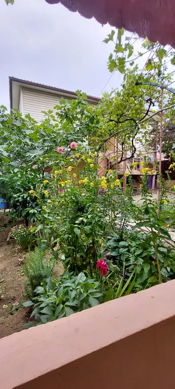 Квартира Комната — Адлер