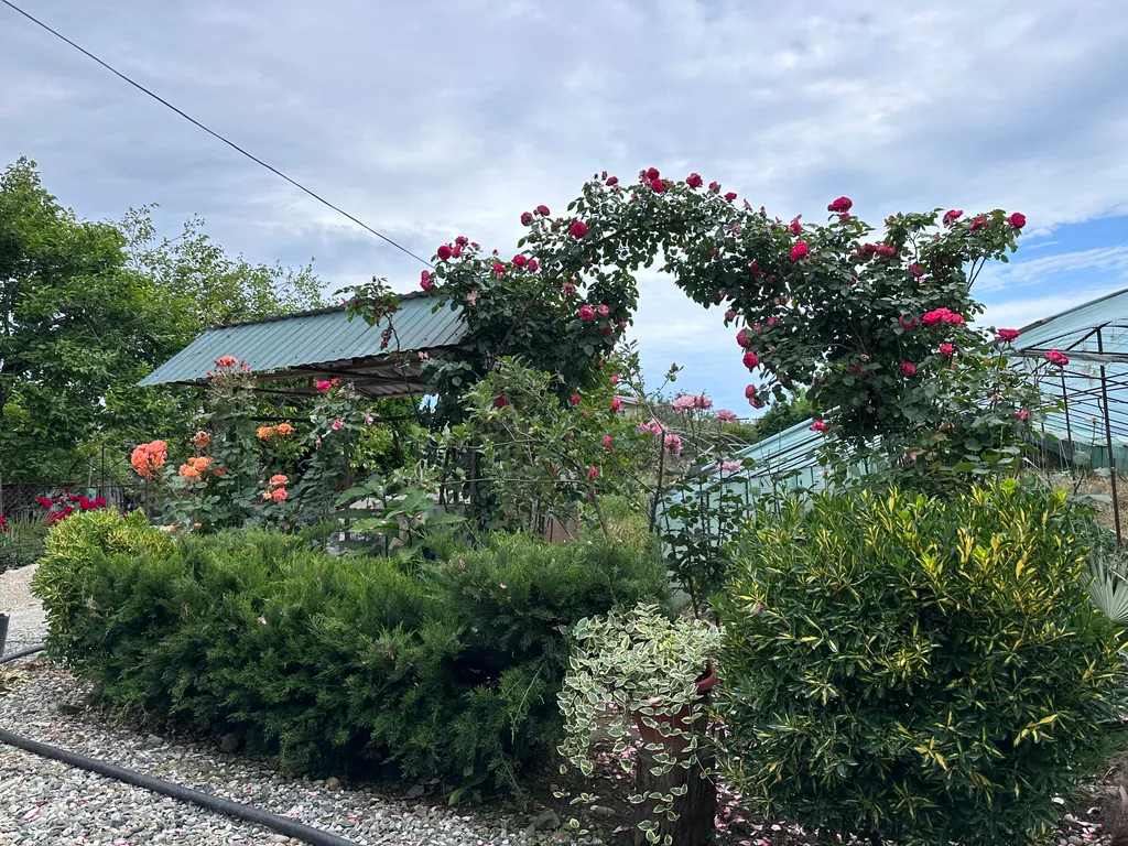 Частный сектор