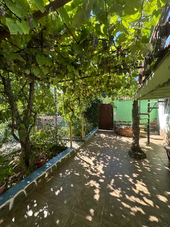 Уютный домик в лесу