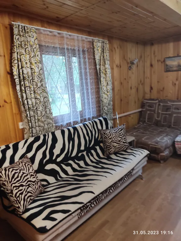 Дом в лесу у реки