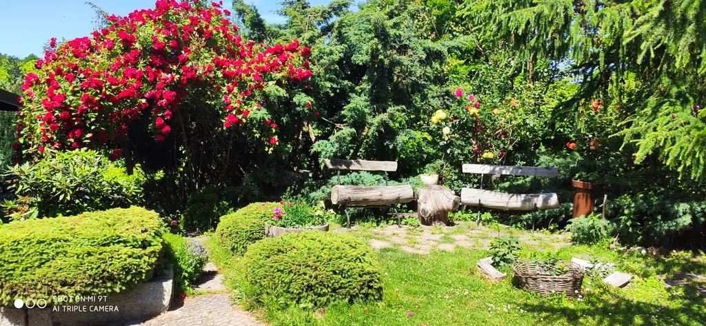 Студия с видом на сад