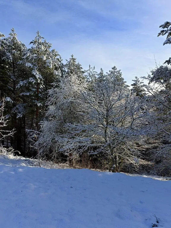 Коттедж Коттеджи у озера — Луга