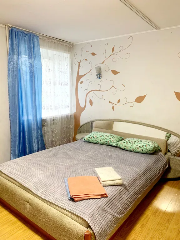 Квартира Гостинка на Большой Медведице — аренда посуточно в Хабаровск