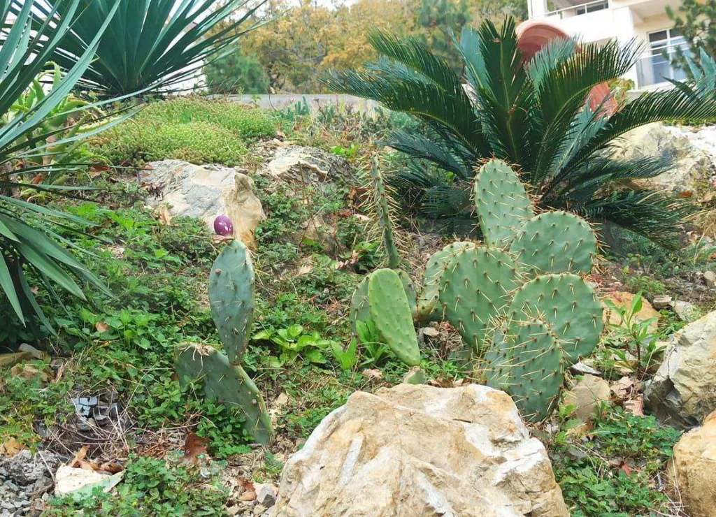 Апартамент с собственным пляжем